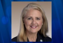 Ex tennessee rep robin smith pleads guilty to fraud in consulting scheme