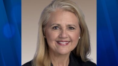 Ex tennessee rep robin smith pleads guilty to fraud in consulting scheme