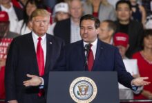 Maga chaos ron desantis will not seek trumps endorsement