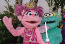 Sesame place spared 25m lawsuit after character is accused of ignoring black children in viral clip