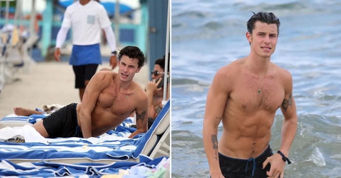 Shawn mendes walks around beach dripping wet after quick dip