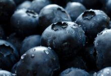 Urgent nationwide voluntary recall of natierra organic freeze dried blueberry lot 2021363 1 2022026 1 due to levels of lead