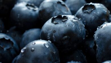 Urgent nationwide voluntary recall of natierra organic freeze dried blueberry lot 2021363 1 2022026 1 due to levels of lead