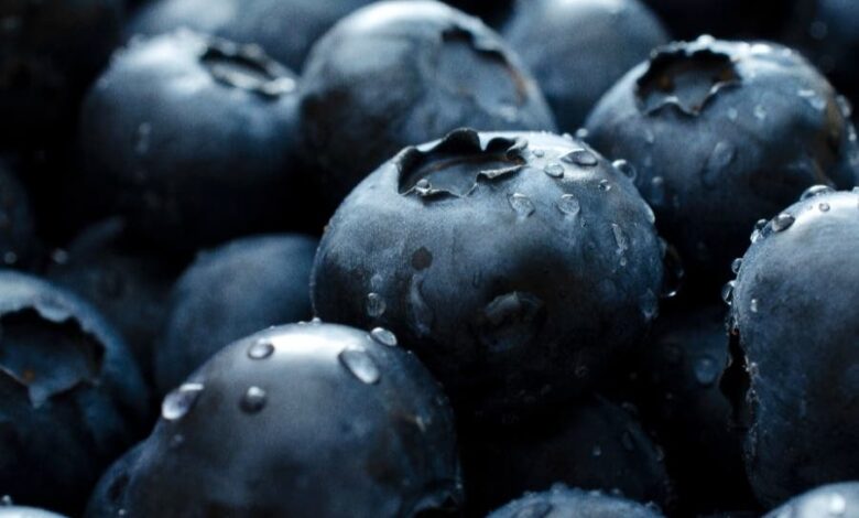 Urgent nationwide voluntary recall of natierra organic freeze dried blueberry lot 2021363 1 2022026 1 due to levels of lead