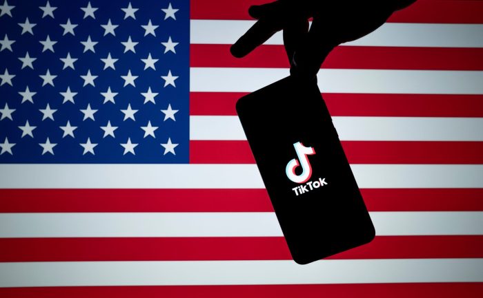 Tiktok to begin appeal against being sold or banned in us