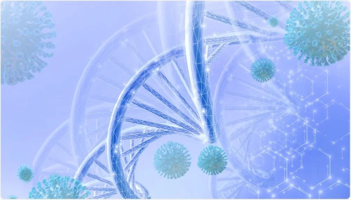 Covid origins genetic ghosts suggest pandemic started in market