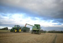 Farmers in england will bury burnt wood in fields to capture co2