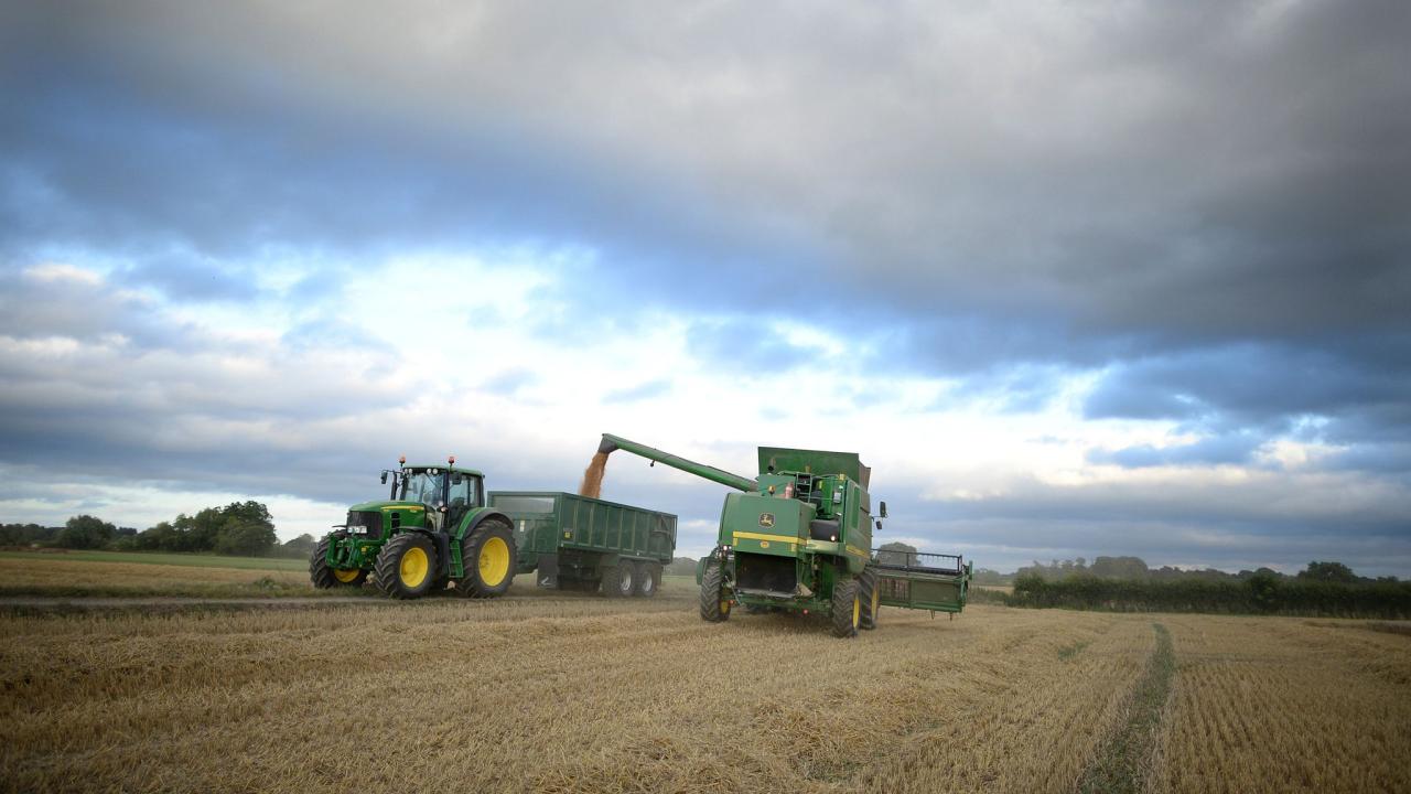 Farmers in england will bury burnt wood in fields to capture co2