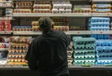 Avian flu has spread to 27 states sharply driving up egg prices
