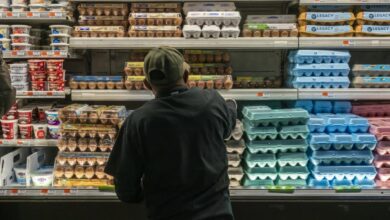 Avian flu has spread to 27 states sharply driving up egg prices