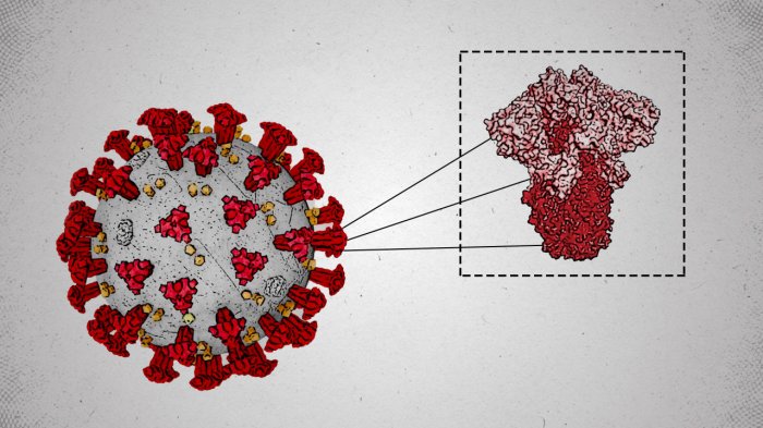 New xec covid variant starting to spread