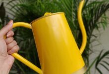 This chic watering can makes me a better plant parent