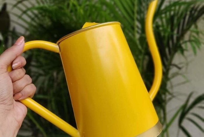 This chic watering can makes me a better plant parent