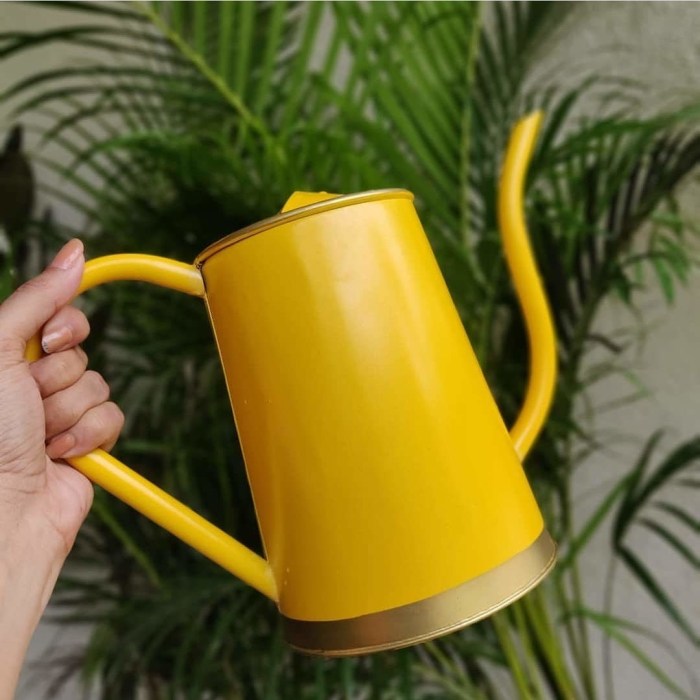 This chic watering can makes me a better plant parent