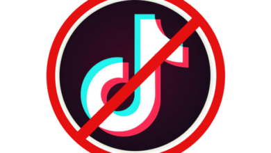 Tiktok to begin appeal against being sold or banned in us