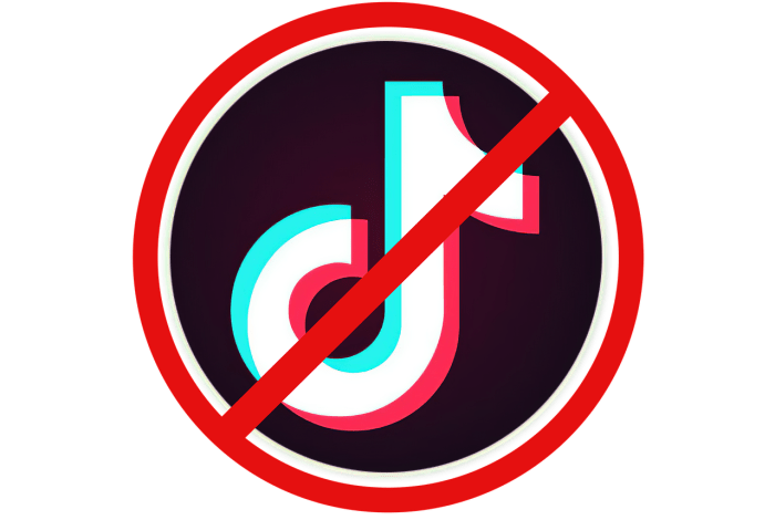 Tiktok to begin appeal against being sold or banned in us