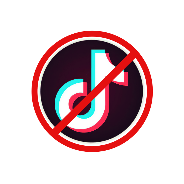 Tiktok to begin appeal against being sold or banned in us