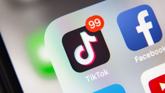 Legal battle over potential tiktok ban goes before federal appeals court