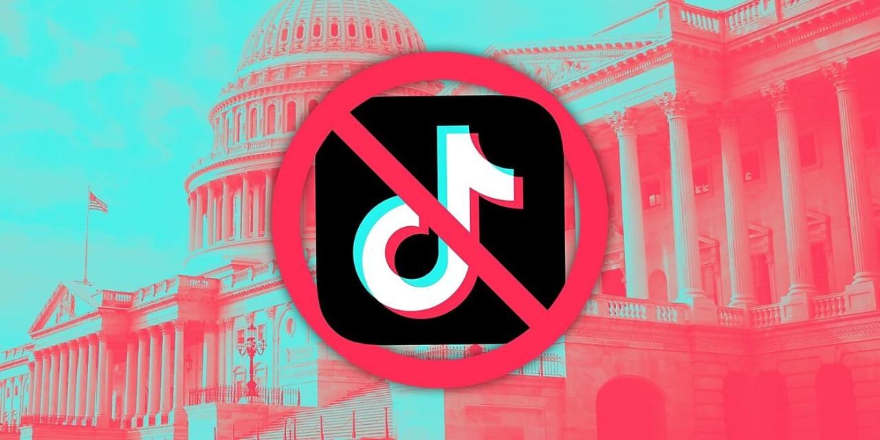 Tiktok goes to court over law that could lead to u s ban