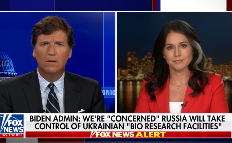 Tulsi gabbard and tucker carlson featured in stunning exchange on russian tv