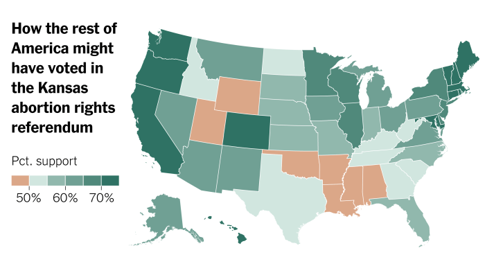 Kansas result suggests 4 out of 5 states would back abortion rights in similar vote