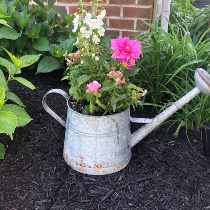 Watering flowers yellow