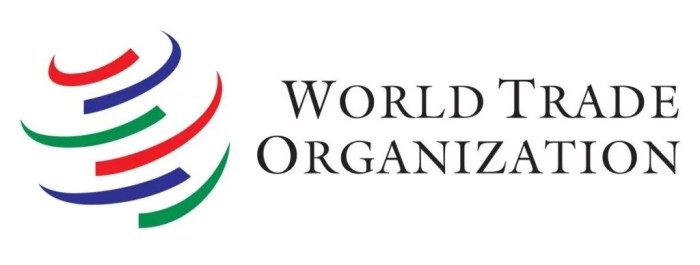 Influence at the wto