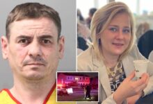 Long island husband ryszard murawski admits to fatally stabbing wife in backyard as horrified son tried to stop brutal attack