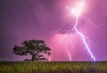 Uk basks in summers last hurrah before thunder and floods in weekend washout