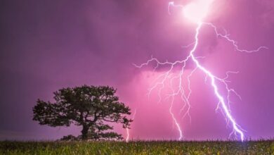 Uk basks in summers last hurrah before thunder and floods in weekend washout