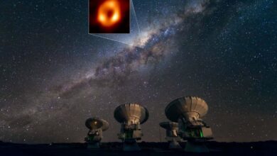 Whats next for event horizon telescope after its black hole pictures