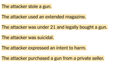 Mass shootings typically lead to looser gun laws not stronger ones