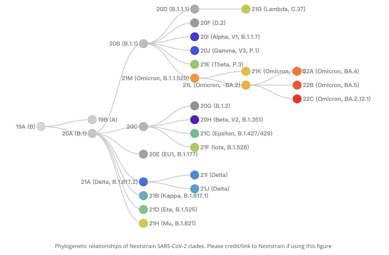 A guide to the different omicron subvariants