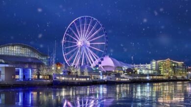 Valentine's Day events Navy Pier Chicago