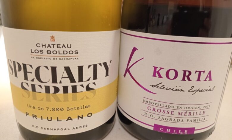 Wine grape growers old vines in chile boosted after devastating earthquake
