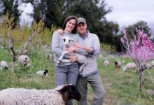John molly chester talk about the biggest little farm the return streaming on disney
