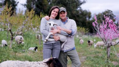 John molly chester talk about the biggest little farm the return streaming on disney
