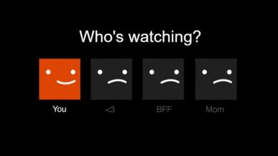 Netflix is finally going after password sharing heres how its likely to work