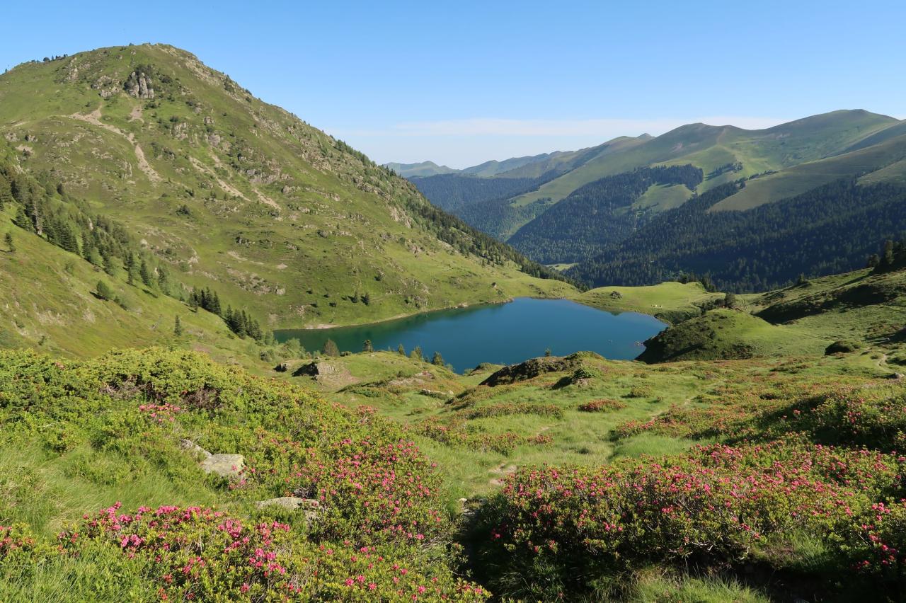 Do nature reserves work it depends on the management