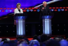 At least 20 democratic candidates in brooklyn did not know they were running