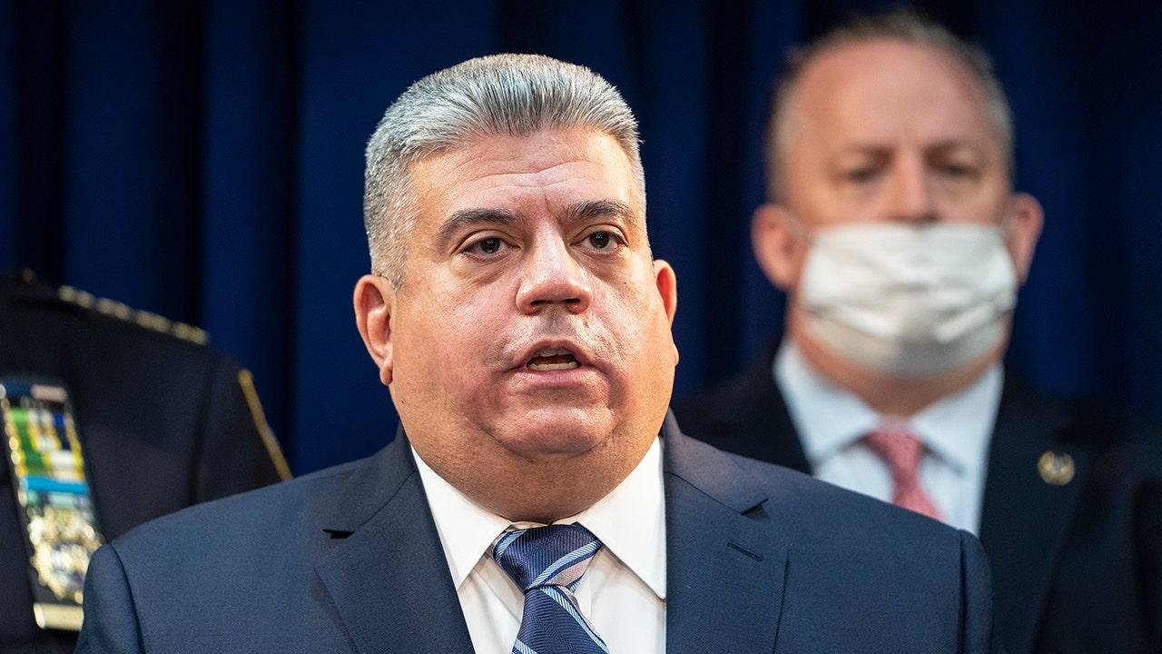 At least 20 democratic candidates in brooklyn did not know they were running