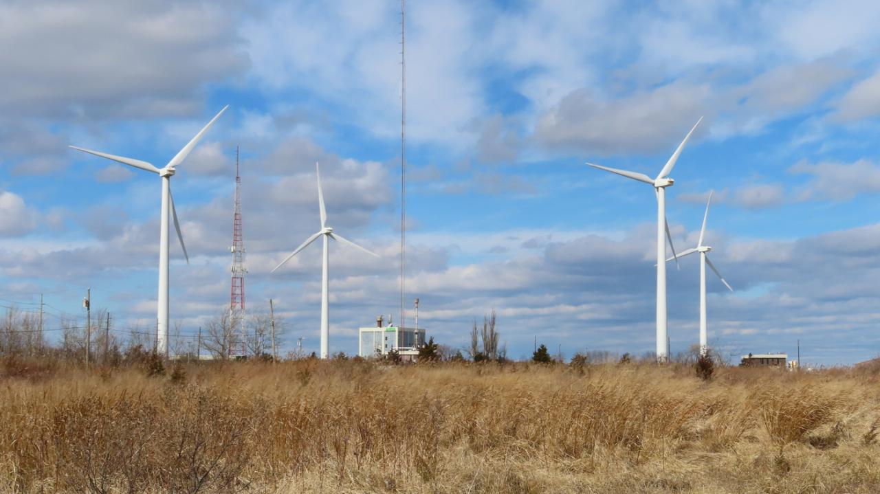 In a first wind generation tops coal and nuclear power for a day