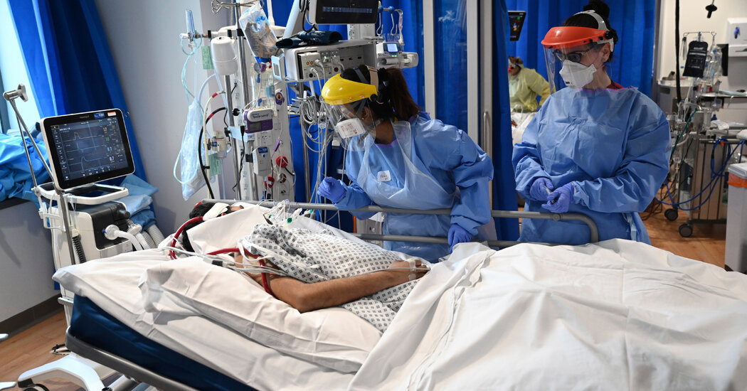 Interferon therapy shows striking results against covid 19