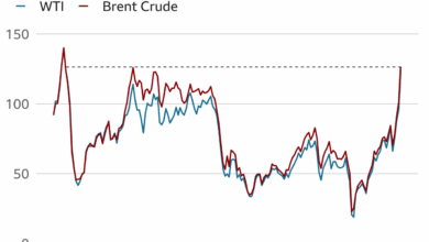 Why is there a sunflower oil shortage and what can i use instead