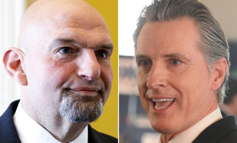 Why centrist michael shellenberger is challenging california gov gavin newsom