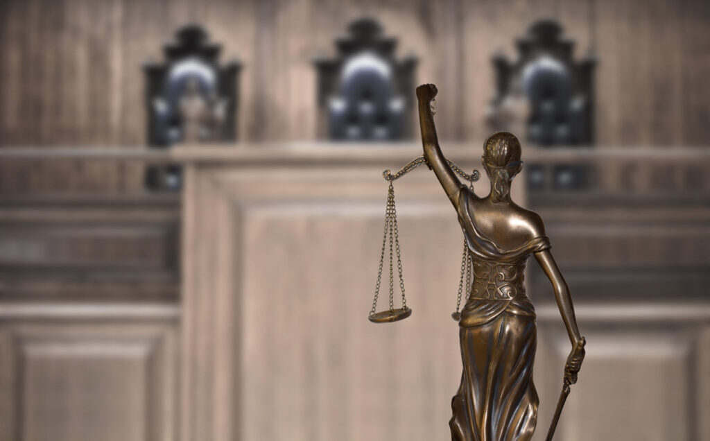 Ice lawyers directed to clear low priority immigration cases