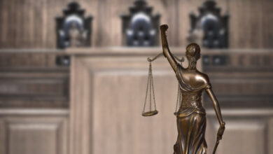 Ice lawyers directed to clear low priority immigration cases