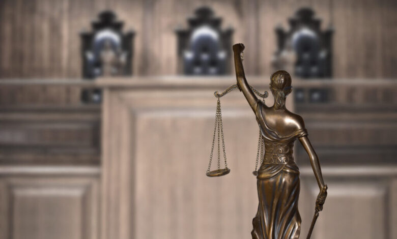 Ice lawyers directed to clear low priority immigration cases