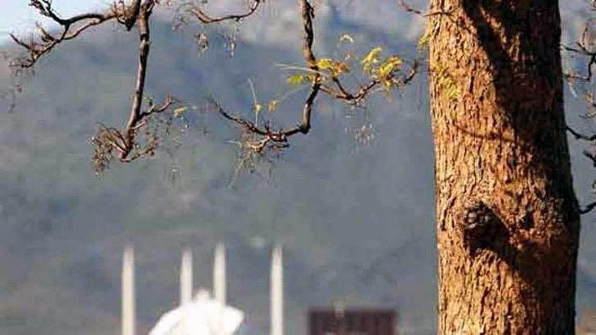 Dry weather forecast calls for higher food prices and billions in farm losses