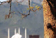 Dry weather forecast calls for higher food prices and billions in farm losses